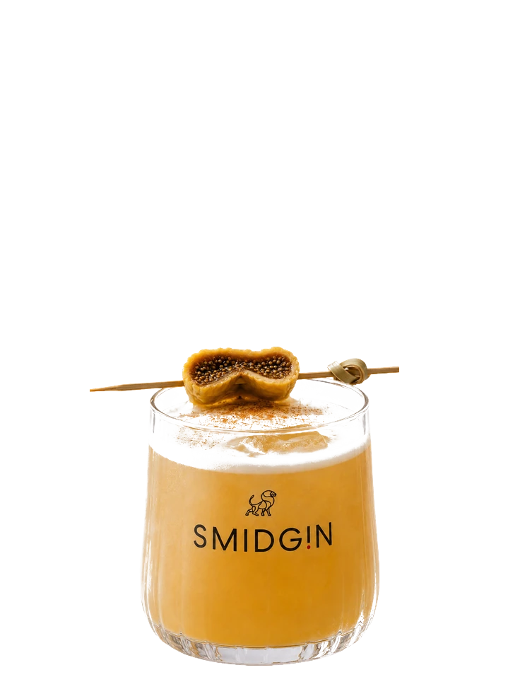Fig Sour cocktail made with Smidgin, garnished with fresh Mediterranean fig